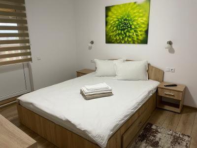 Casa Milla Hotel Sovata Luaran gambar